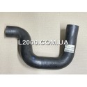 Патрубок радіатора MAN L2000 нижній 81963010699 (на 6-циліндровий двигун). Оригінал