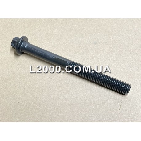 Болт головки блоку циліндрів MAN L2000, LE 51900200381. BF