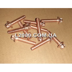 Болт кріплення випускного колектора MAN TGL 51904900102 (M8*40). Туреччина
